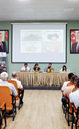 Azərbaycanda trüfel istehsalının təşviqi layihəsinin yekun tədbiri keçirilib