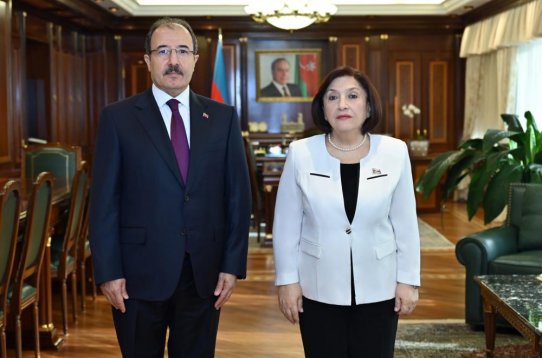 Milli Məclisin sədri Sahibə Qafarova Cahit Bağçını qəbul edib