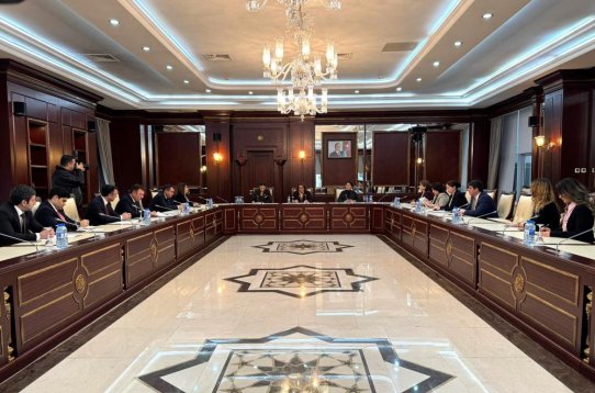 Milli Məclisin Ailə, qadın və uşaq məsələləri komitəsinin 2025-ci ilin yaz sessiyasında ilk iclası keçirilib
