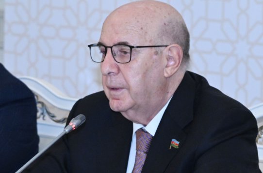 "Səhiyyəni iqlim dəyişikliklərinin təsirlərinə uyğunlaşdırmalıyıq"