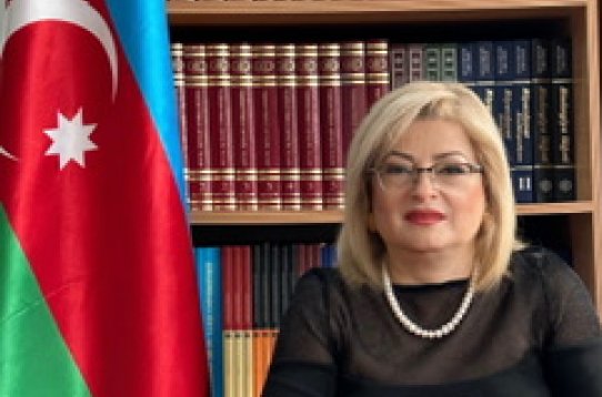 “Tərəfdaşlığımızın mühüm sahəsi beynəlxalq təsisatlarda qarşılıqlı dəstəkdir”