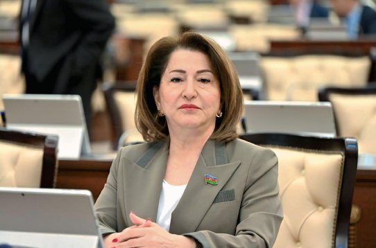 "Beynəlxalq ictimaiyyətə açıq mesaj verilir: Qarabağ sülh, əməkdaşlıq məkanıdır"