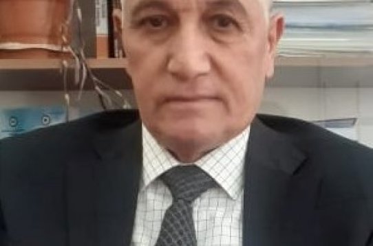 Davosdan mesajlar: Azərbaycanın regional və qlobal mövqeyi